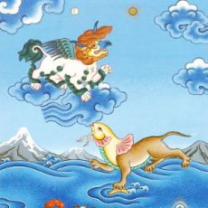 2019.05 Carmen Mensink Hybrid Animals Thumbnail 300×300 (1) 2019.05 Carmen Mensink Hybrid Animals Thumbnail 300x300 (1)