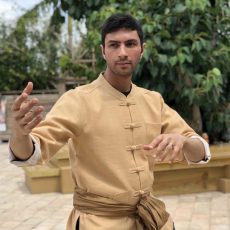 Dave Wolovsky bio Qigong Dave Wolovsky bio Qigong