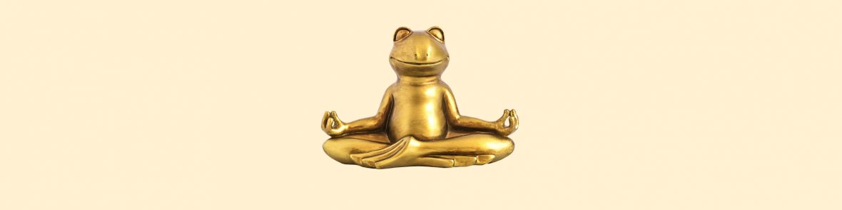 Meditation Beginners Night Frog Meditation Beginners Night Frog