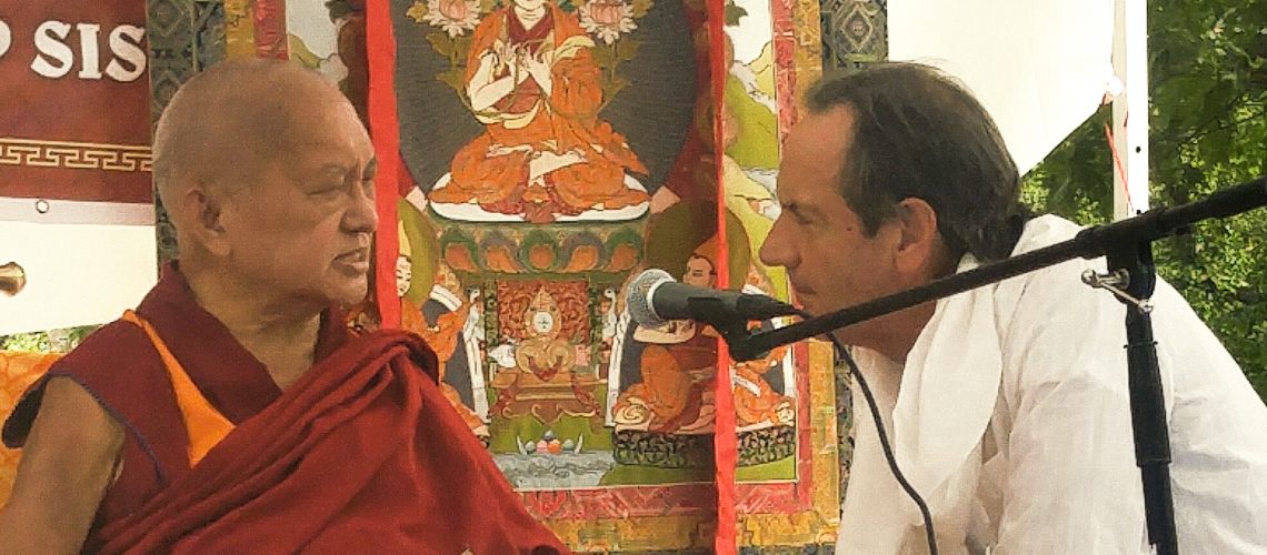 lamazopa_andy-2 lamazopa_andy-2