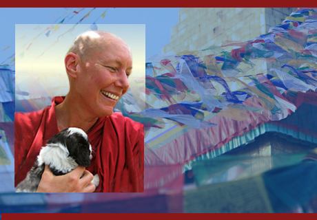 Image for video Taking Delight in Making Our Lives Meaningful with Ven. Tenzin Chokgyi