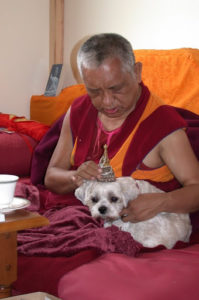 Lama Zopa RInpoche with a white dog