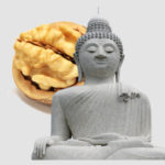 Shakyamuni Buddha and a Walnut - Buddhism in a Nutshell