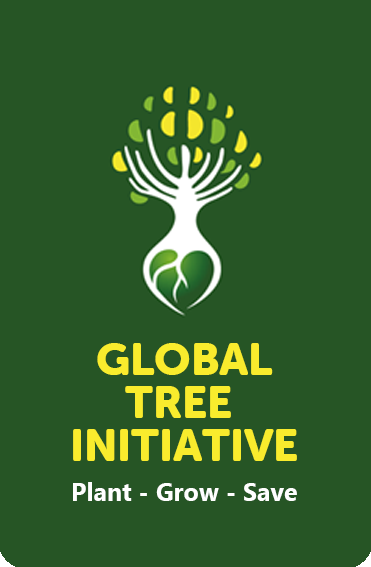 Read more about the article Global Tree Initiative