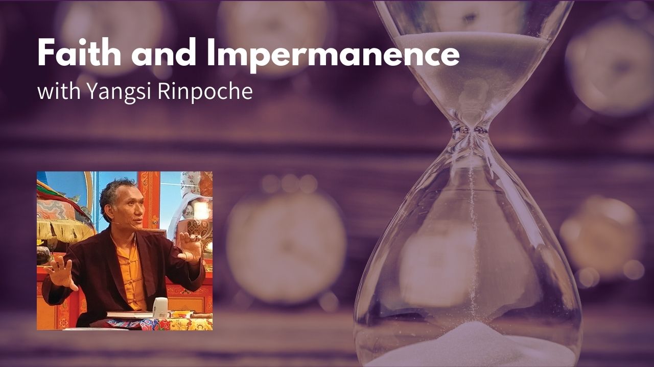 Read more about the article Faith and Impermanence with Yangsi Rinpoche