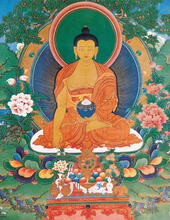 Read more about the article Exploring Buddhism: Exploring the Mind