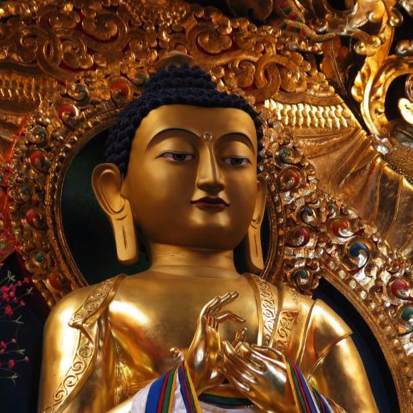 Read more about the article Precepts