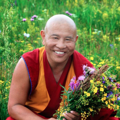 Read more about the article Discovering the Nectar-Like Dharma: Contemplative Guidance for Modern Practitioners with His Eminence Jhado Rinpoche